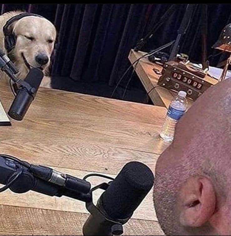 Подборка прикольных картинок  приколы,смешные картинки,юмор