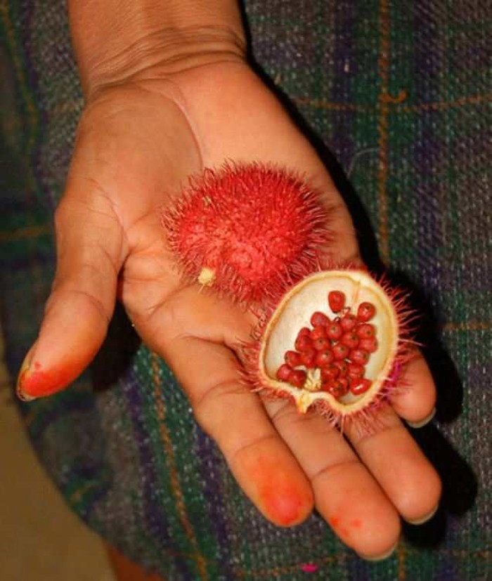 Самые экзотические фрукты в мире