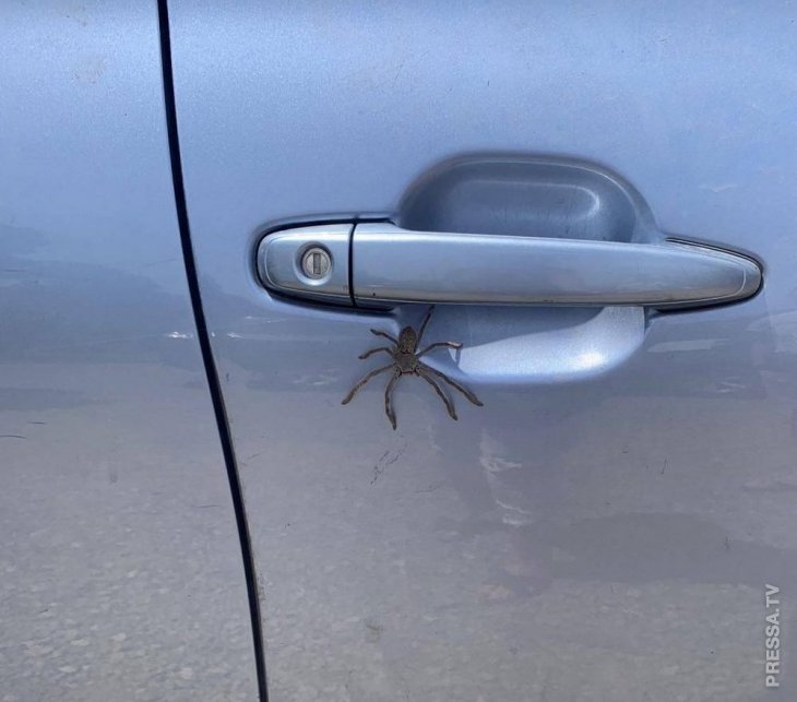 Фэйлы и неудачи Фэйлы и неудачи