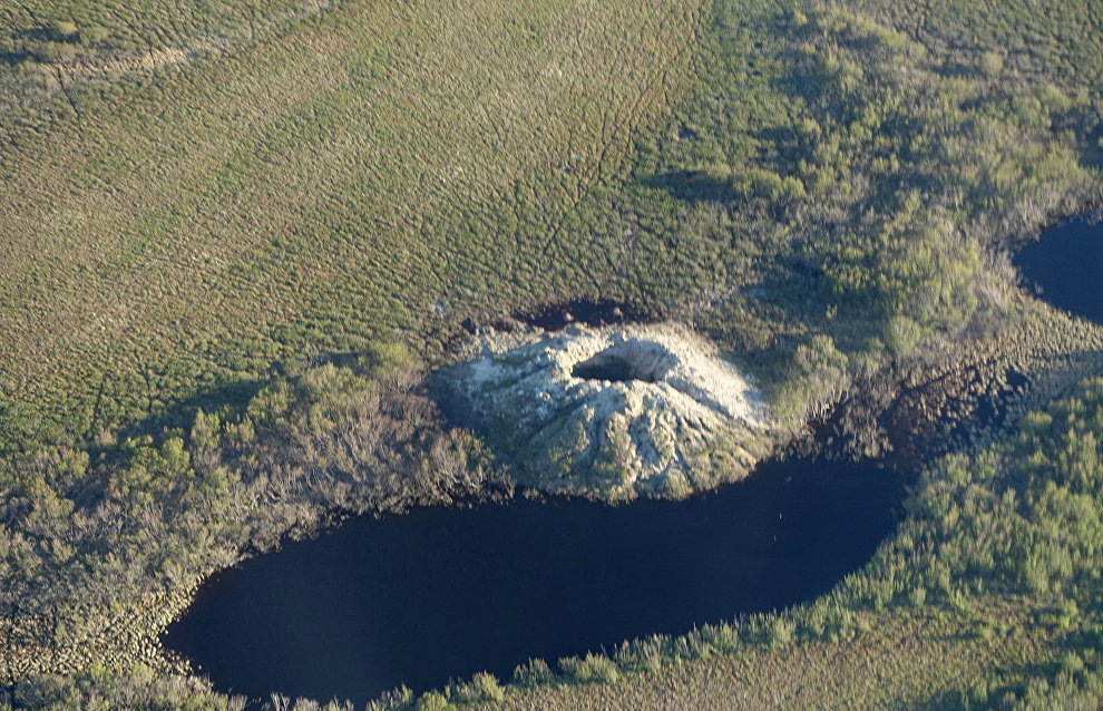 Источник: https://ru.arctic.ru/photo/20170706/644875.html