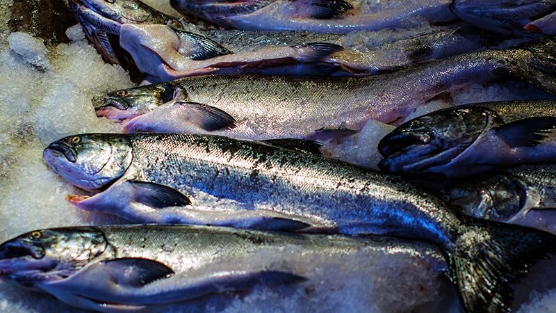 Япония вводит антироссийские санкции и хочет ловить рыбу у Курил