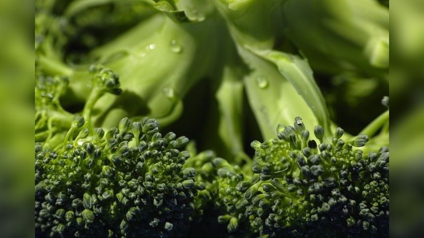 Диетолог Тараско посоветовала есть брокколи для профилактики рака молочной железы