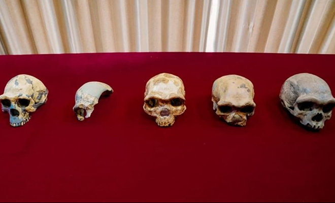 Археологи обнаружили следы неизвестного ранее вида человека. Он жил 150 тысяч лет назад и у него были квадратные глазницы Археологи обнаружили следы неизвестного ранее вида человека. Он жил 150 тысяч лет назад и у него были квадратные глазницы Культура