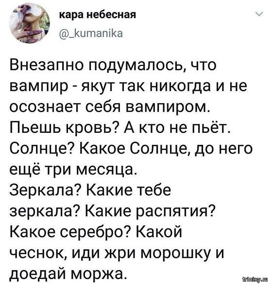 Смешное из соцсетей Смешное из соцсетей