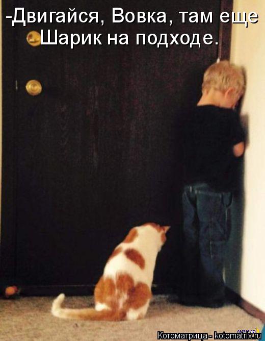 Котоматрица: -Двигайся, Вовка, там еще Шарик на подходе.