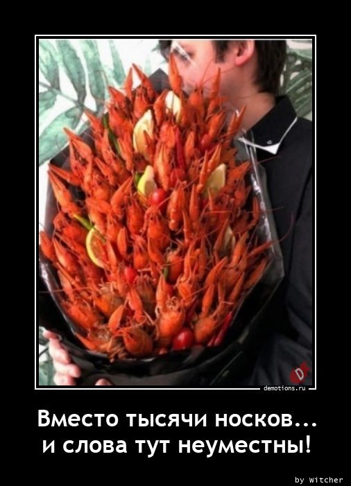 Очередная коллекция демотиваторов для вашего прекрасного предпраздничного настроения! 