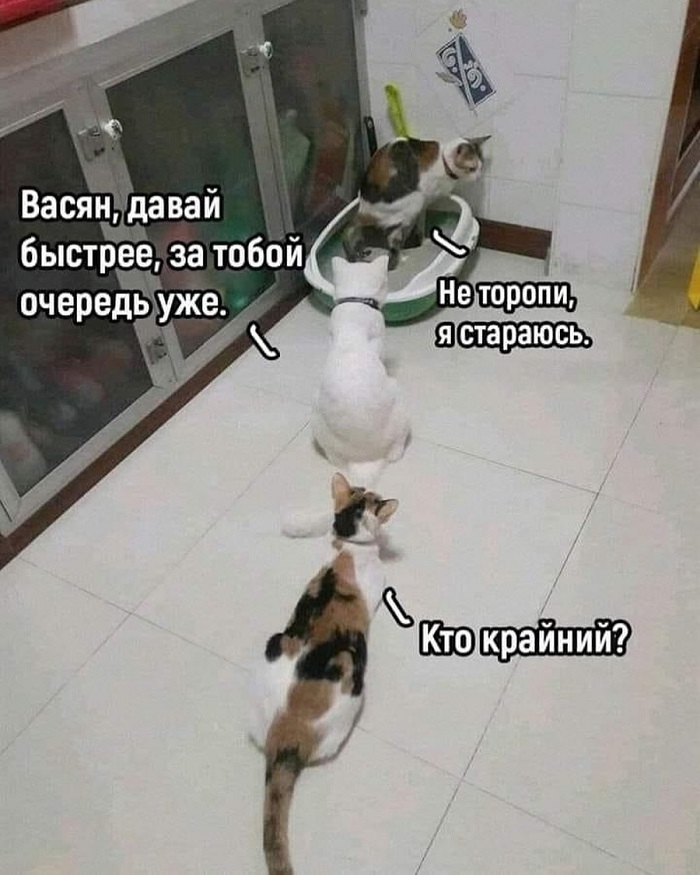 Отруби. Это был очень быстрый тест на то, викинг вы или диетолог Отруби. Это был очень быстрый тест на то, викинг вы или диетолог опаздываю, работу, значит, бегать, троллейбусом, гордость, вообщето с , Дарья, Романова