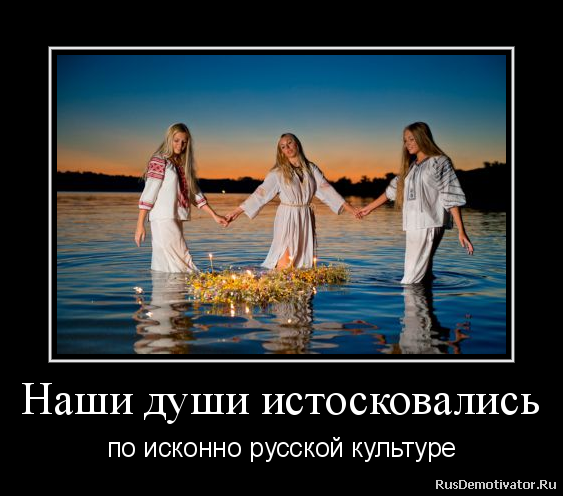 Прикольные демотиваторы для поднятия настроения