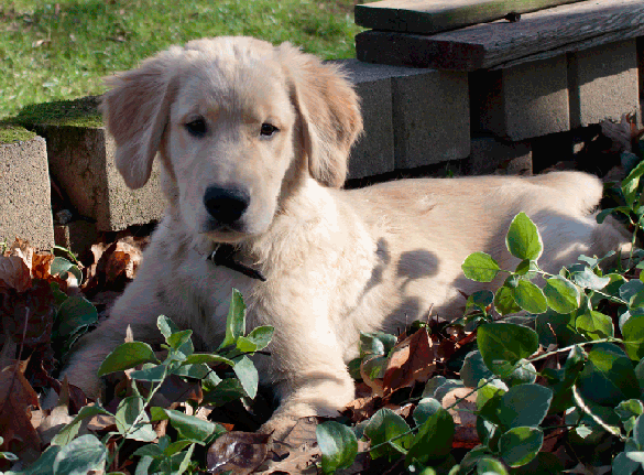 Классные и позитивные гифки из сети забавные гифки ржака