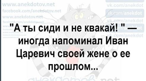 Проводница Наташа, когда ей надоедали пассажиры в вагоне, подсыпала им в чай снотворное... весёлые