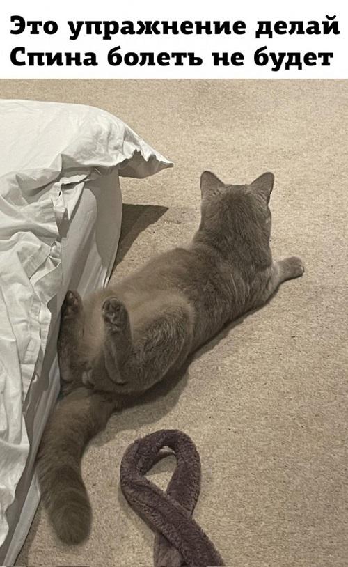 Немного улыбки... Немного улыбки...