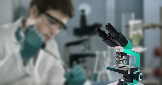 КАК СПАСТИ СОБАКУ ОТ ДОГХАНТЕРОВ