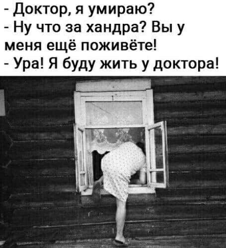 Яркие шутки, чтобы получить хорошее настроение 