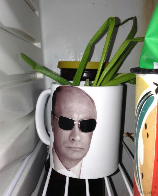 Приколы про лук Приколы про лук