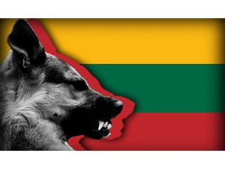 Литва решилась на невиданно резкий выпад против Москвы