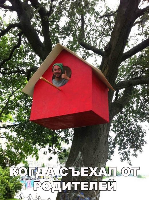 Самые смешные картинки дня