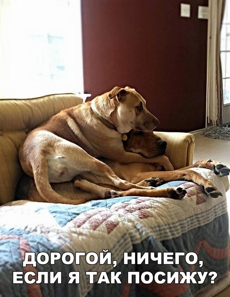 Солянка из классных фотографий и веселых картинок с надписью Солянка из классных фотографий и веселых картинок с надписью