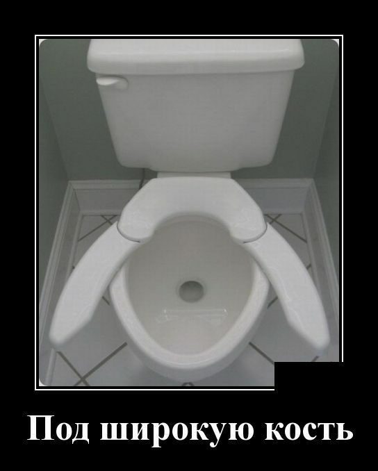 Туалетные приколы! Туалетные приколы!