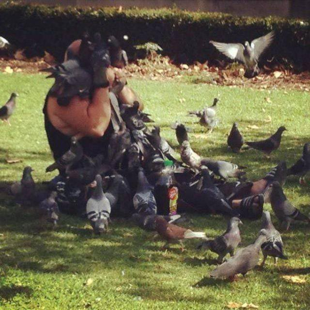 25 невезучих людей, которые страдали за то, чтобы вам было смешно 25 невезучих людей, которые страдали за то, чтобы вам было смешно картинки