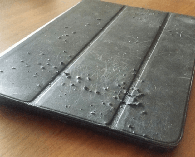 проблемы которые доставляют кошки