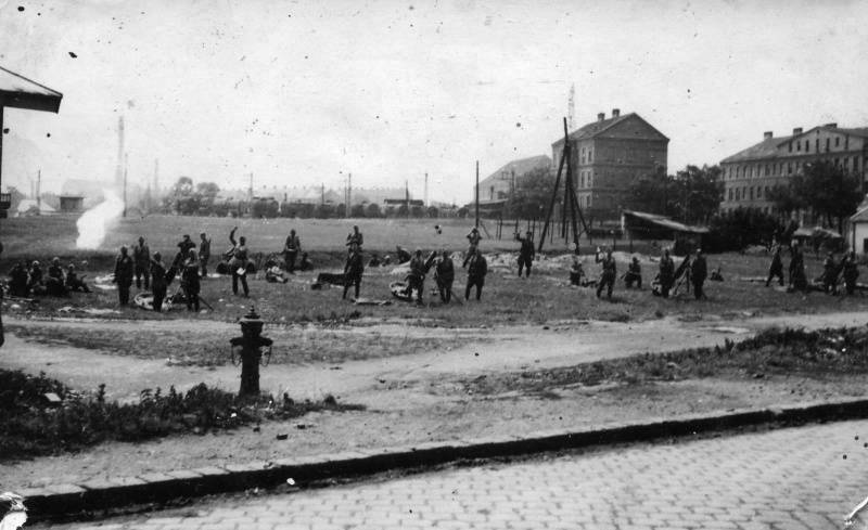 Выборгско-Петрозаводская операция: разгром финской армии Выборгско-Петрозаводская операция: разгром финской армии история