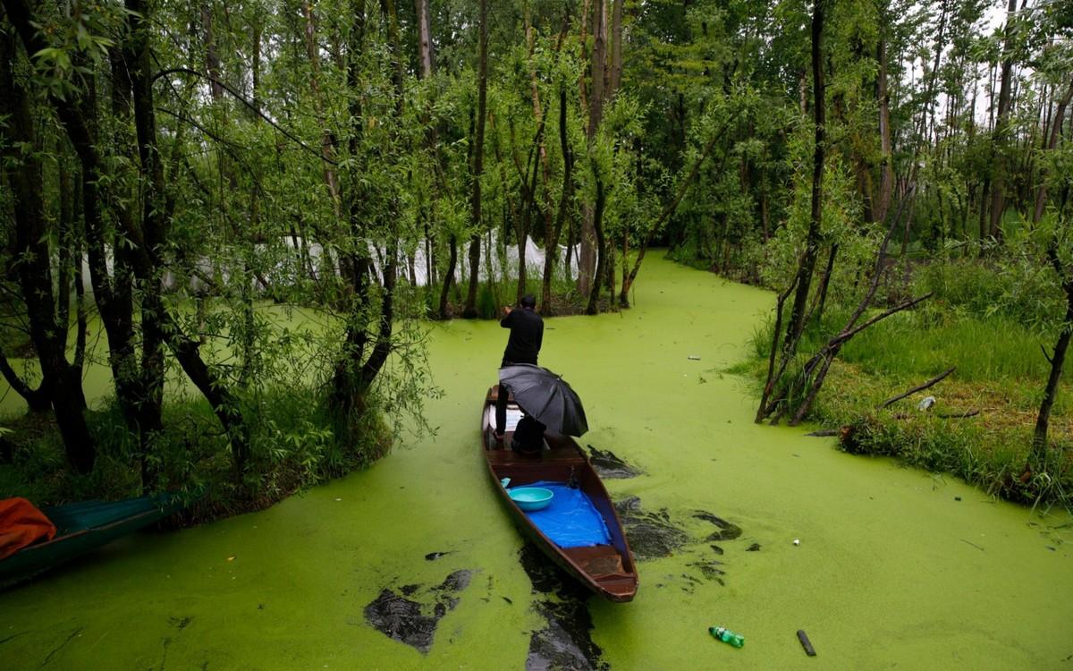 Чарующая Индия - свежие фотографии Чарующая Индия - свежие фотографии путешествие,страны,туризм