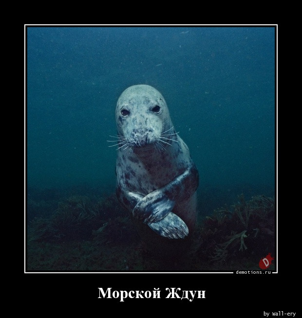 Демотиваторов пост: «Когда слышишь шуршание пачки с чипсами» Демотиваторов пост: «Когда слышишь шуршание пачки с чипсами»