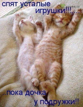ЖИЗНЬ ЖИВОТНЫХ  Сначала, милота, настроения             , жизненные, ситуации                                                               