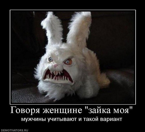 смешные для девушек картинки онлайн смешные для девушек картинки
