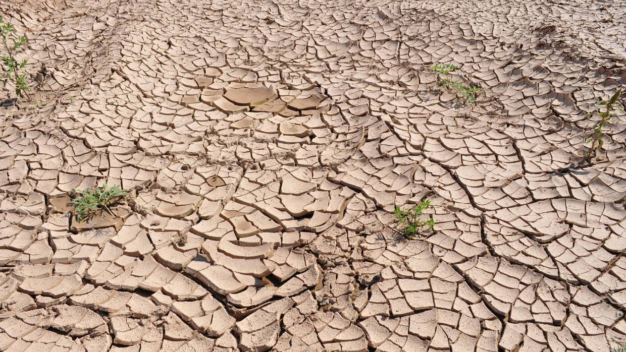 В Калифорнии ввели штрафы за чрезмерное потребление воды Весь мир
