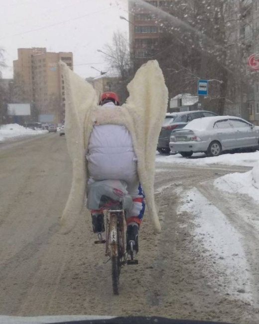 Подборка прикольных картинок Подборка прикольных картинок смешные картинки