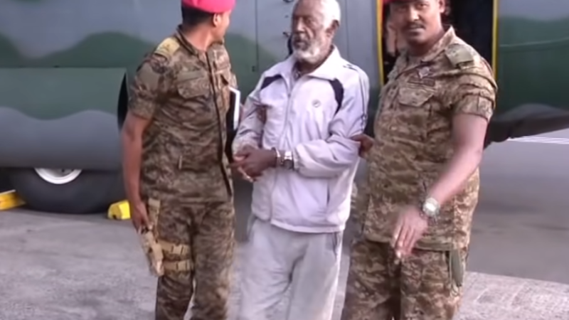Армия Эфиопии захватила одного из идеологов «Народного фронта освобождения Тыграя»
