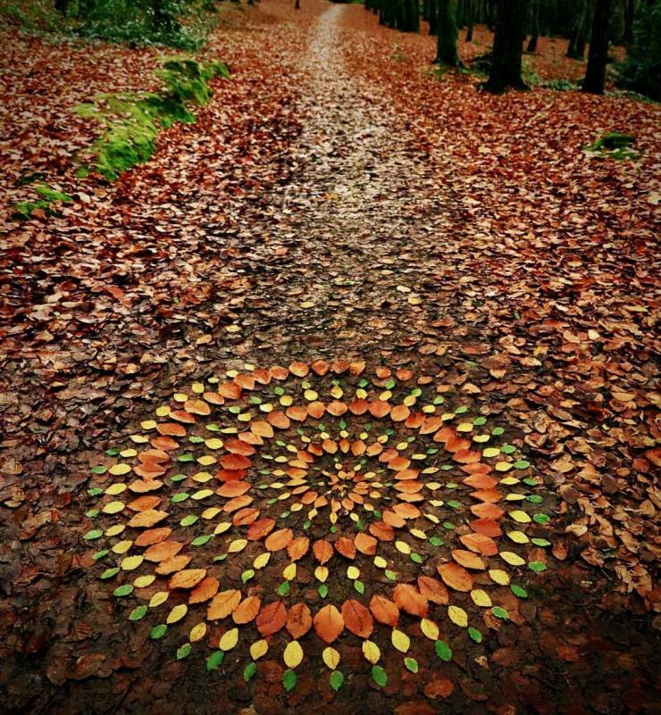 Подборка прикольных картинок  приколы,смешные картинки,юмор