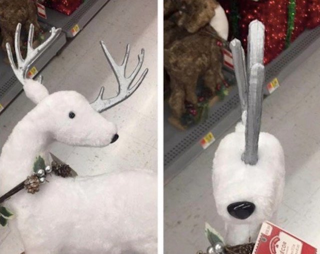 Фотоподборка вторника 27 ноября Фотоподборка вторника 27 ноября