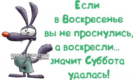 Нескучные фразочки в картинках Нескучные фразочки в картинках