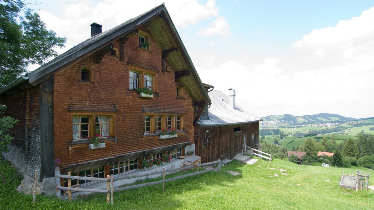 Начать свое дело и не прогореть: как в Крыму пытаются стать успешными фермерами Общество