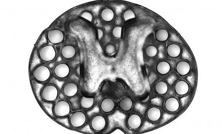 Напечатанный на биопринтере имплант вернул подвижность парализованным мышам