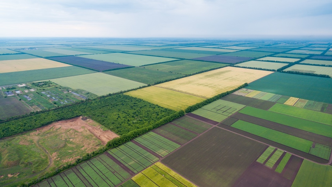 Кубань, Ростовщина, Брянщина и другие "исконно украинские земли"