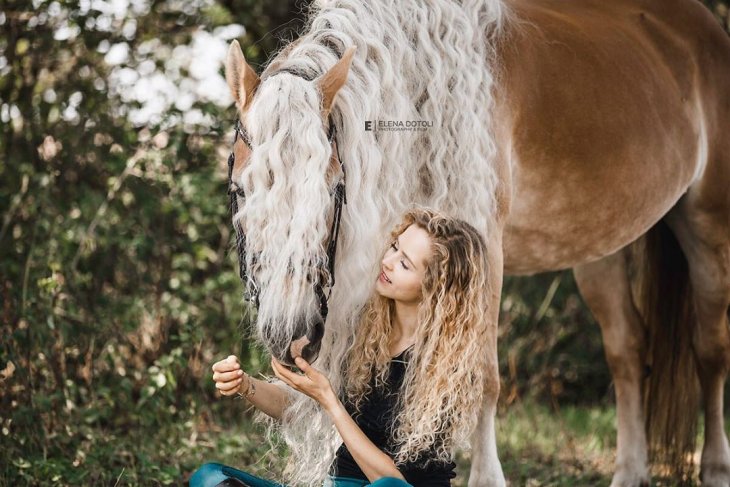 Шторм — сказочная лошадь Хафлингера Шторм — сказочная лошадь Хафлингера животные,природа