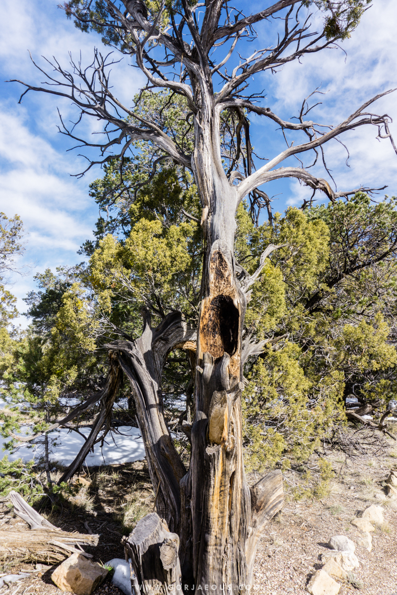 Tusayan Museum and Ruins-22.jpg