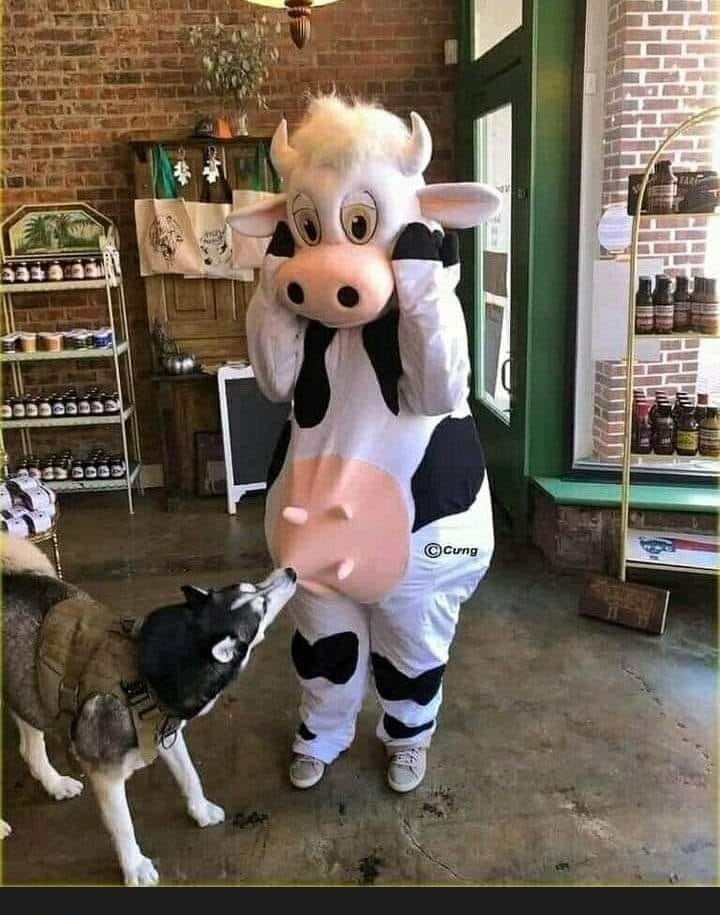 Юмор из интернета 664 позитив,смех,улыбки,юмор