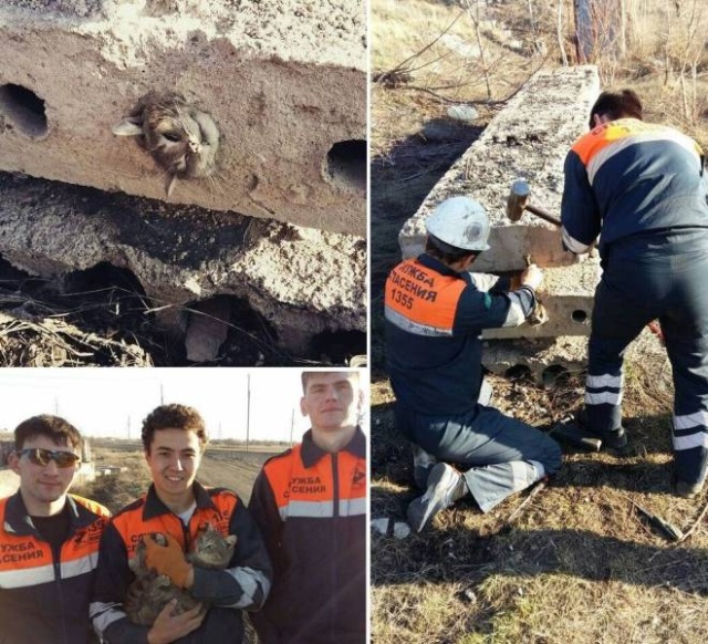 Подборка прикольных картинок Подборка прикольных картинок смешные картинки