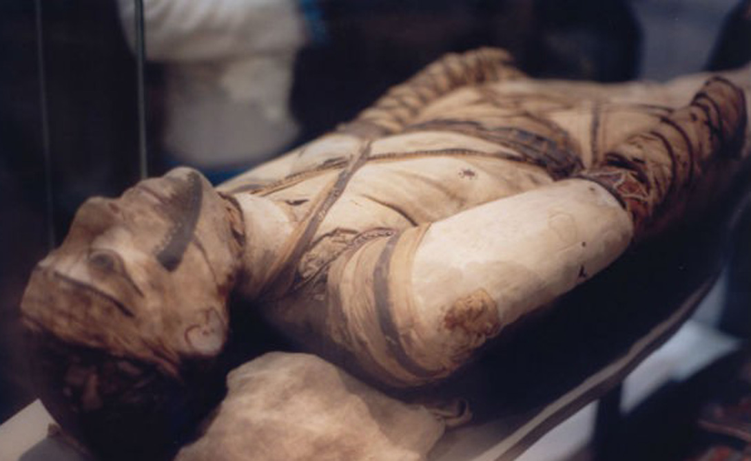 Многие люди ошибочно полагают, что мумификации подвергались только фараоны. На самом деле, процедуру мог заказать каждый, кто обладал хорошим достатком.