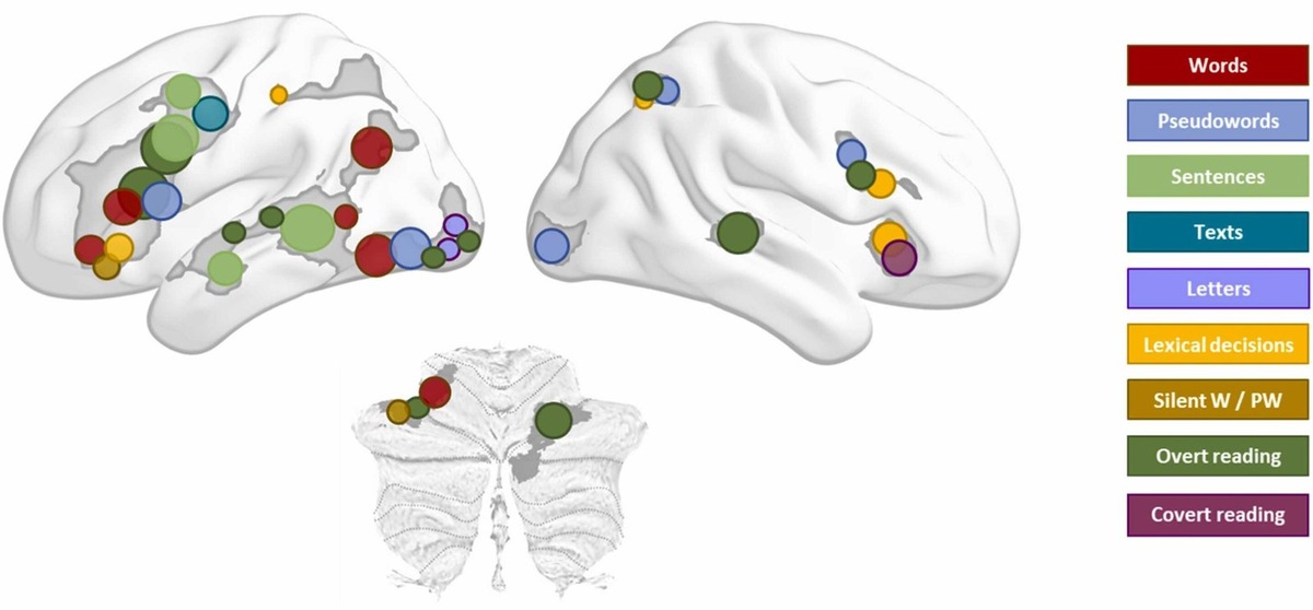   Схематическое резюме результатов исследования.