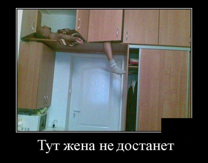 прожить сборка смешных картинок это домашние животные