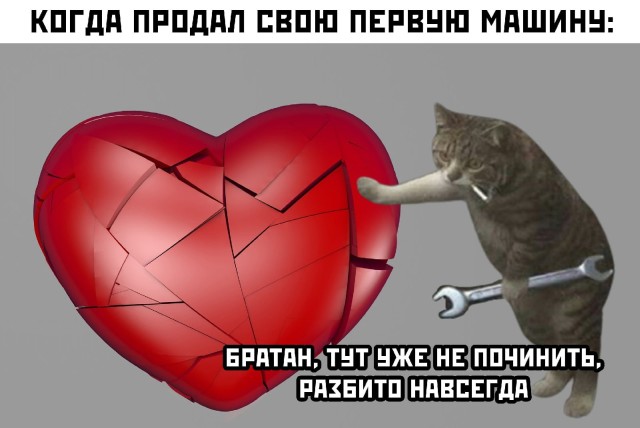 Подборка прикольных картинок  приколы,смешные картинки,юмор