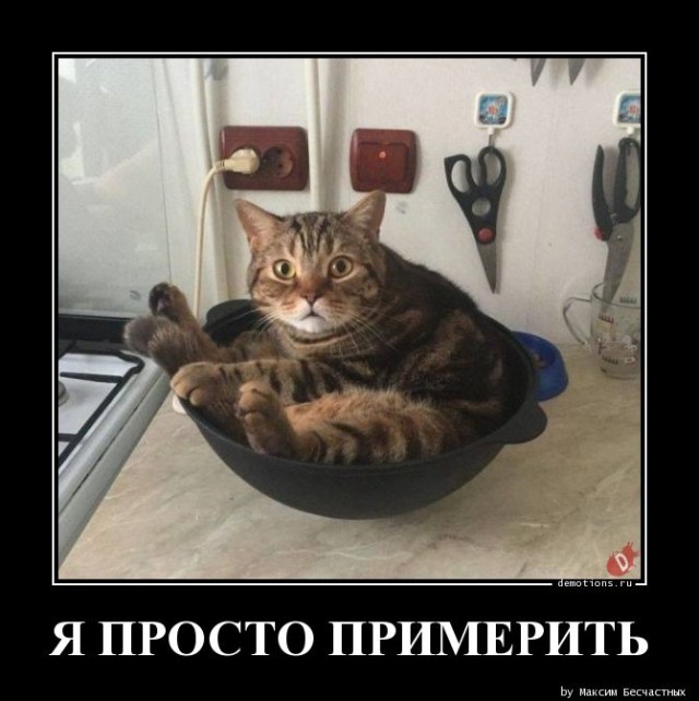 Демотиваторы на любой вкус: «Заменив утренний кофе…»  