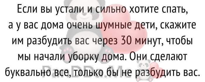 Убойная подборка из 15 позитивных историй для отличного настроения 