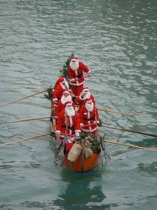 Они уже в пути! картинки,позитив,фото-приколы,юмор