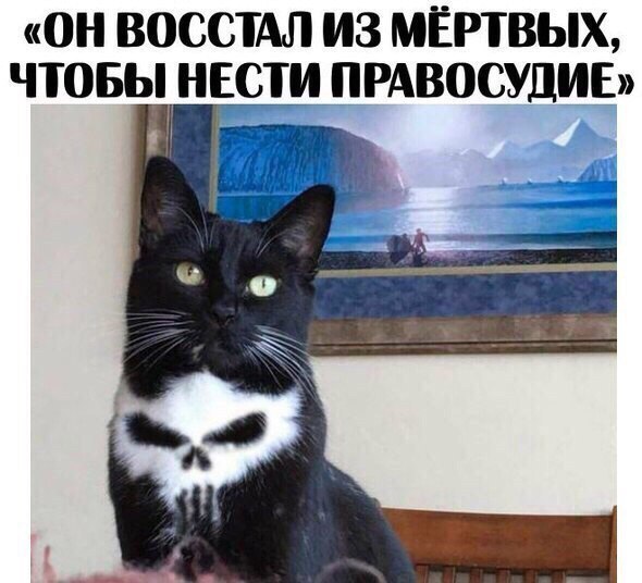 Милые фотографии и забавные картинки с надписями из нашей жизни Милые фотографии и забавные картинки с надписями из нашей жизни картинки с надписями,красивые фотографии,прикольные картинки,смешные комментарии